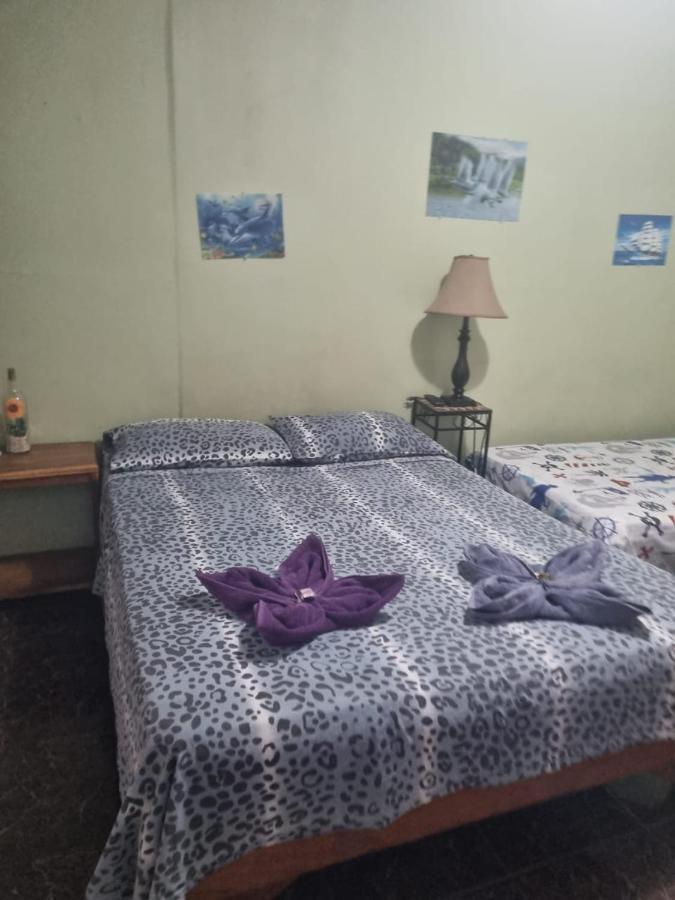 Hotel Paradise Alajuela Río Segundo Esterno foto